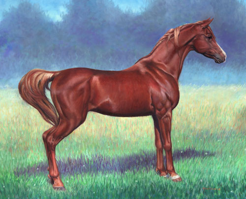 Arabian stallion red chestnut brown, green grasses and blue backgrounds. Perfect for the interior of browns and beige walls or any theme about equestrian,  oil painting by Richard Ancheta