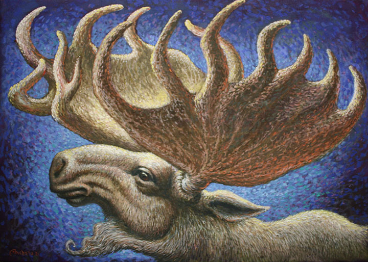 Moose with huge antler, beige and blue, the moose is largest member of the deer family Cervidae, it is found in the eastern Canada. Moose is a massive animal bull in full spread broad of antler, spoon-shaped spiked measuring around 6 ft., moose are found principally in moist woods of willows, poplars and birch, they also wade into lakes to feed on such aquatic plants and water lilies. - oil painting by Richard Ancheta.