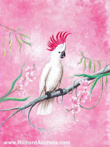 Leadbeater's cockatoo with feathers like crown of reddish pink colors, with white pearl color coats feather, with black eyes, beak and claws; backgrounds with pink brush strokes and orchids - painting by Richard Ancheta.