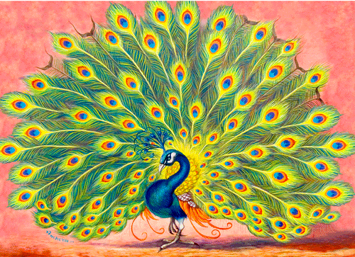 Peacock with shinny blue green furs, open fan feathers of yellow-greens and blue-orange of eye-spotted tails, oil painting by Richard Ancheta.