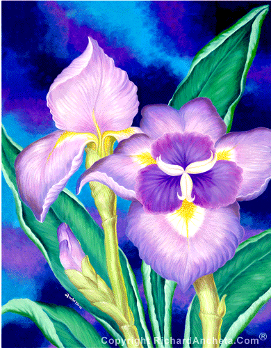 Iris with violets-purple heart shape fan petals harmonies of yellows, yellow-greens and blue-greens, heart shape composition, 3 stages of bud, blossoms and flourish, textured backgrounds - oil painting on canvas - flower painting by Richard Ancheta.