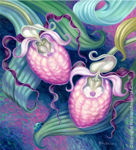 Lady's Slipper Painting