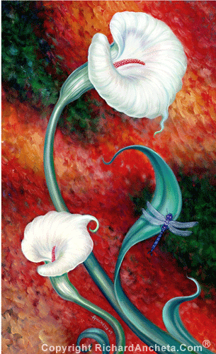 White Calla Lily by Richard Ancheta