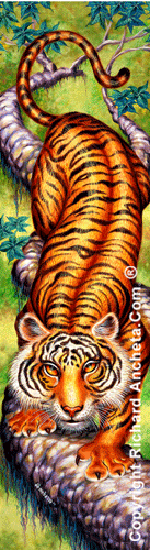 Bengal tiger with yellow-golden brown hairs, with black rippled stipes on a tree, tall format painting - design decoration for columns, murals and narrow tall places - oil painting by Richard Ancheta.