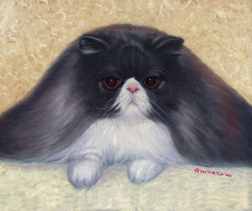 Persian cat with red eyes and nose, with black long-haired body, with chest and feets are pure white hairs, front profile with beige textured background - oil painting on canvas by Richard Ancheta.