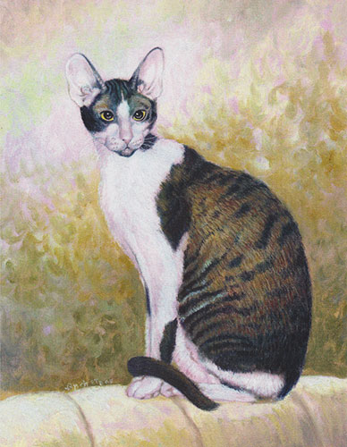 Devon rex cat with short-haired of black and white furs with beige textured background, sitting profile - oil painting by Richard Ancheta.