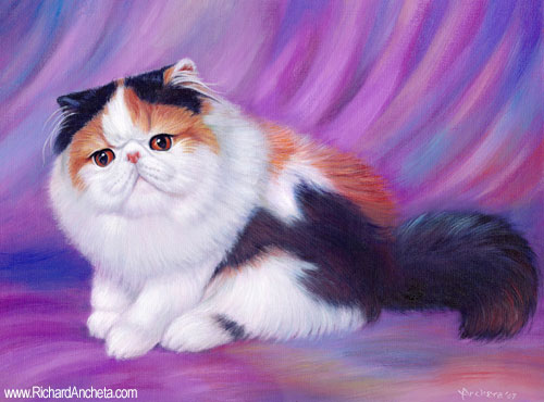 Persian cat with red eyes and nose, long-haired body with three colors red-orange, black and white, front profile with purple background