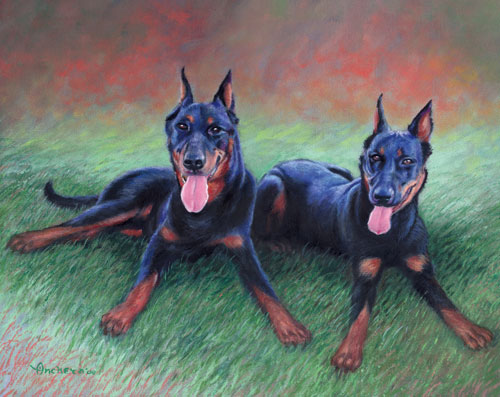 Beauceron with black and brown hair resting on a grass - dog oil painting by Richard Ancheta.