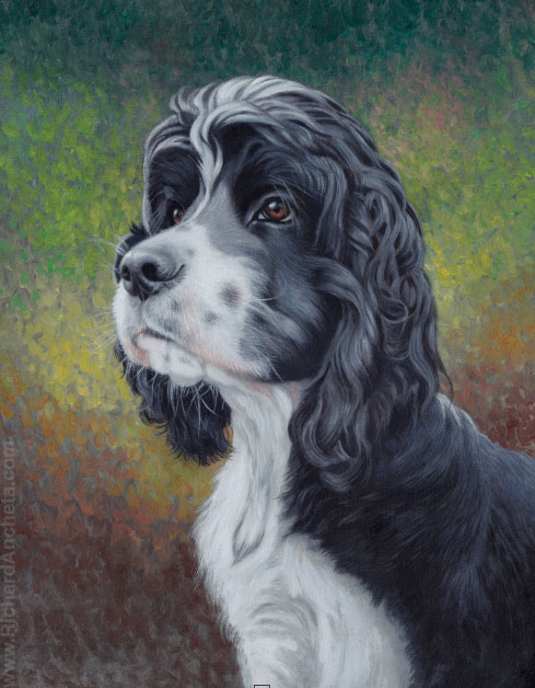Black cocker spaniel with beautiful long black curly hairs, white mouths and chest - oil painting by Richard Ancheta.