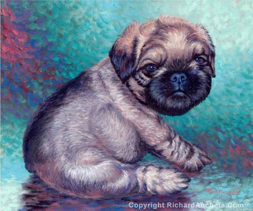 Griffon bruxellois puppy with gray brown hairs sitting with turquoise textured background, oil painting by Richard Ancheta.