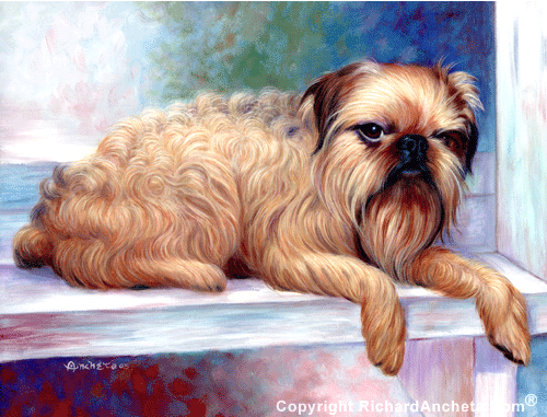 Golden beige reddish brussels griffon, sitting view profile, dog with golden beige reddish silky shinny hairs, oil painting by Richard Ancheta.