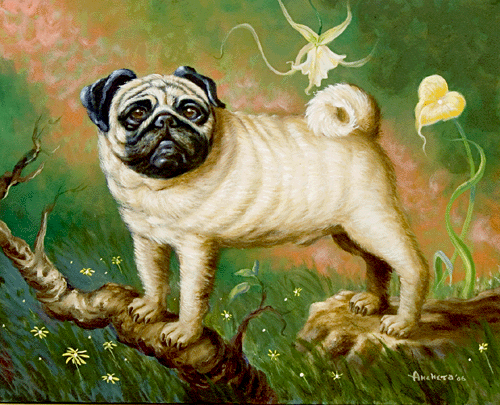 Pug with beige silky hairs, with brack ears, black cirled in the eyes nose and mouths in standing side view profile - oil painting by Richard Ancheta.