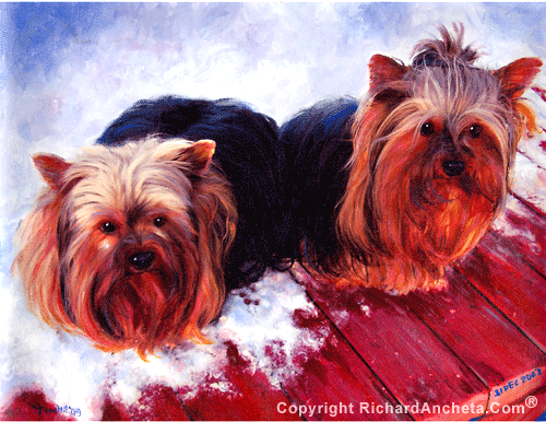 Two yorkshire terrier with gray, black and golden beige coat - painting on canvas.a