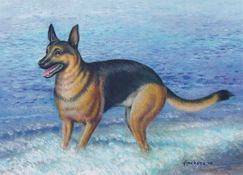 Doberman pinscher  with black and beige brown short hairs running in the seashore - oil painting by Richard Ancheta.