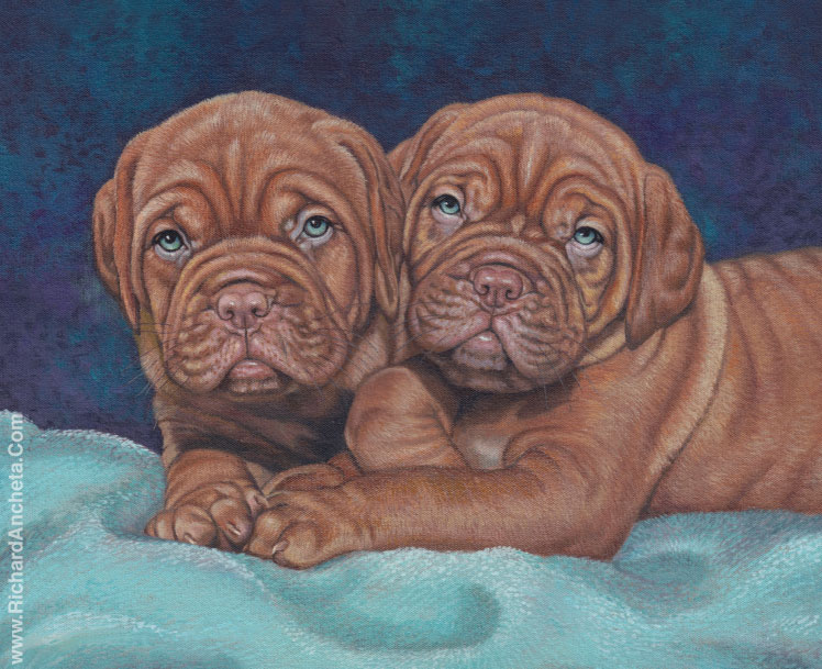 Two dogue de bordeaux puppy with with beige golden brown hairs, oil painting by Richard Ancheta.