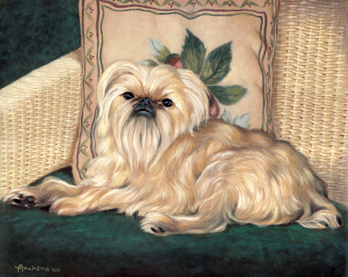 Golden brussels griffon, sitting side view profile, dog with golden beige silky shinny hairs - oil painting on canvas by Richard Ancheta.