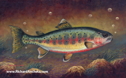 Golden trout of dark greenish and yellowish golden ocre combination, decorated with reddish side and belly, spotted of black and gray, painting by Richard Ancheta.