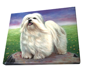 Bichon Frise - dog painting - giclee on canvas.