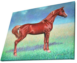 Arabian Stallion - horse painting