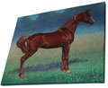 horses - giclee on canvas