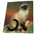 Siamese Cat