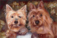 Romeo and Juliet - Cairn Terrier - Dog Painting by Richard Ancheta