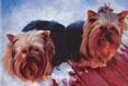 Tigas and Peanut - Yorkshire Terrier - Dog Painting by Richard Ancheta