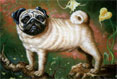 Pug - Dog Painting by Richard Ancheta