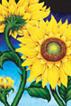 Sunflower - Flower Painting by Richard Ancheta