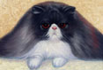 Black Persian Cat - Cat Painting by Richard Ancheta