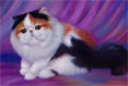 Persian Cat - Cat Painting by Richard Ancheta