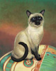 Old Style Siamese Cat by Richard Ancheta