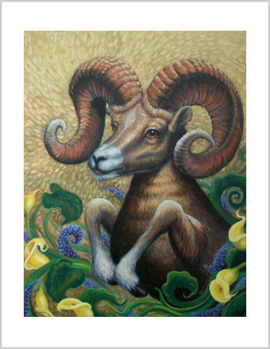 Bighorn Sheep Frameable Prints by Richard Ancheta