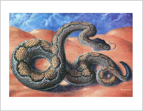 Rattlesnake Painting Frameable Prints by Richard Ancheta