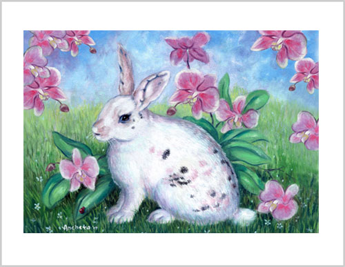 White Rabbit Frameable Prints by Richard Ancheta