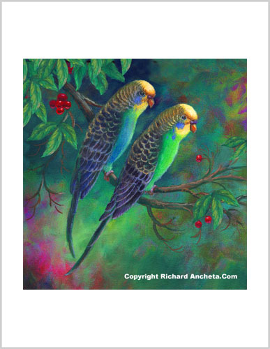 Parakeet Perruche Ondulèe Painting Frameable Prints by Richard Ancheta