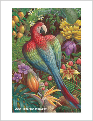 Red and green Macaw Painting Frameable Prints by Richard Ancheta