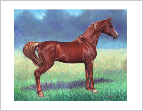 Arabian Stallion - horse painting - Frameable Prints by Richard Ancheta