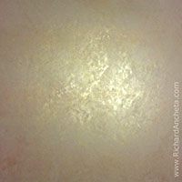 Metallic Champagne Mist - Faux fini