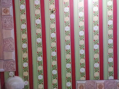 Plafond Floral Stripes Painting Design.