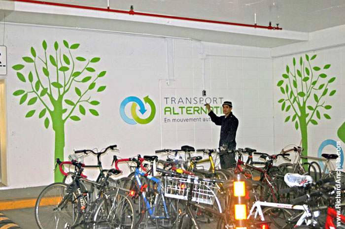 Hand Painted Graphic Signs Mural Painting By Richard Ancheta