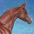 Horse Oil Paintings