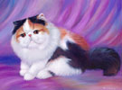 Persian cat oil painting.