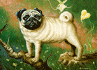 Pug oil painting.