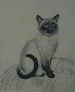 Cat Painting Stage 3
