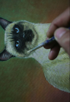 Cat Painting Stage 9